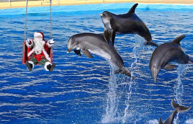 A man dressed in a Santa Claus costume poses for photographers with dolphins, at the animal exhibition park Marineland in Antibes, southern France, Tuesday, December 11, 2012. (Photo by Lionel Cironneau/AP Photo)