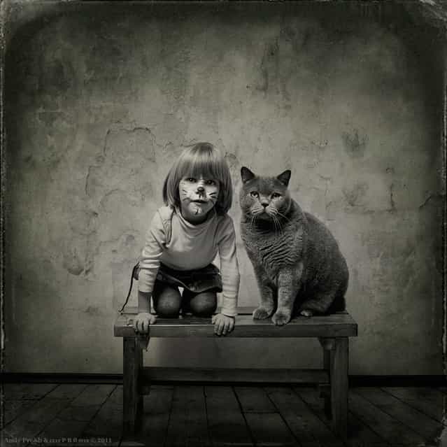 Little Girl and Tomcat By Andy Prokh