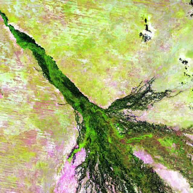 Okavango River, Botswana. Like a watercolor in which a brushstroke of dark green has bled into a damp spot on the paper, southern Africa's Okavango River spreads across the pale, parched landscape of northern Botswana to become the lush Okavango Delta. The delta forms where the river empties into a basin in the Kalahari Desert, creating a maze of lagoons, channels and islands where vegetation flourishes, even in the dry season, and wildlife abounds. Image taken by Landsat 5 on April 27, 2009. (Photo by USGS/NASA)