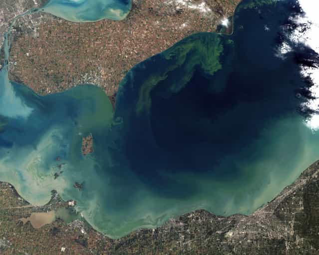 Lake Erie. Though Lake Erie looks beautiful in this image, the green swirls in the water are evidence of the worst toxic algae bloom the lake has suffered in decades. Image taken by Landsat 5 on October 5, 2011. (Photo by USGS/NASA)