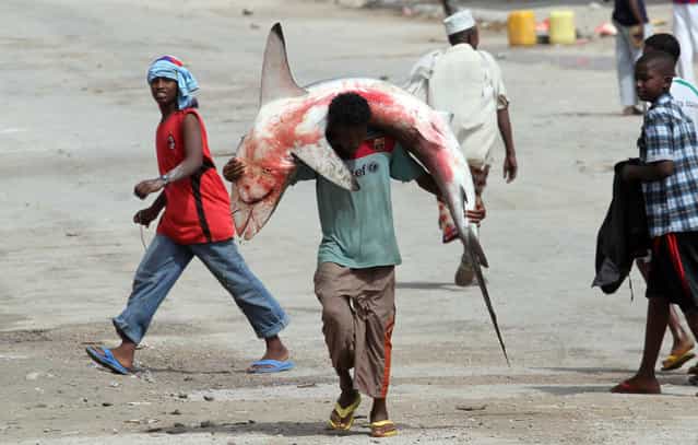 A fisherman carries a swordfish on his head and shoulders from the Indian Ocean waters to the market in Somalia's capital Mogadishu December 18, 2012. (Photo by Ismail Taxta/Reuters)