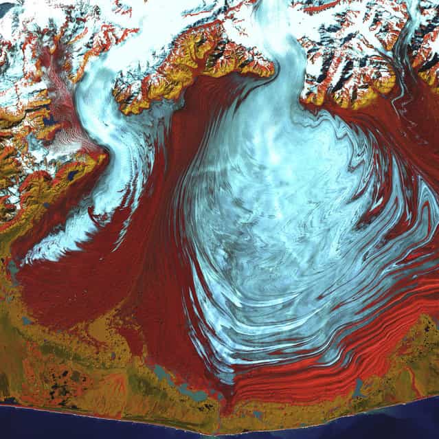 Malaspina Glacier, Alaska. The tongue of the Malaspina Glacier, one of the largest piedmont glaciers in the world, fills most of this image. The Malaspina lies west of Yakutat Bay in Alaska and covers roughly 3,900 sq km. This image was acquired on August 31, 2000, by Landsat 7′s Enhanced Thematic Mapper plus (ETM+) sensor. This is a false-color composite image made using infrared, near infrared, and green wavelengths, and has been sharpened using the sensor’s panchromatic band. (Photo by NASA/GSFC/USGS EROS Data Center)