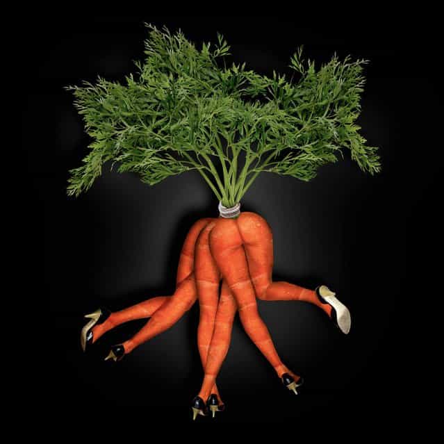 [Dancing Bunch of Carrots]. (John Wilhelm)