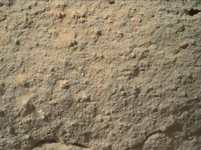 Scientists say that a [Martian flower], seen here in an image from the Curiosity rover's Mars Hand Lens Imager, is a 2-millimeter-wide grain or pebble that's embedded in the surrounding rock. Another, darker-colored mineral grain can be seen above and to the left. (Photo by NASA)