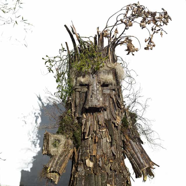 A man dressed as a [Trapajon], representing entities of nature, poses for a picture after taking part in the Vijanera Festival in Silio, northern Spain, Sunday, Jan. 6, 2013. The Vijanera masquerade, of pre-Roman origin, is the first carnival of the year in Europe symbolizing the triumph of good over evil and involving the participation of crowds of residents wearing different masks, animal skins and brightly colored clothing with its own complex function and symbolism and becoming the living example of the survival of archaic cults to nature. (Photo by Daniel Ochoa de Olza/AP Photo)
