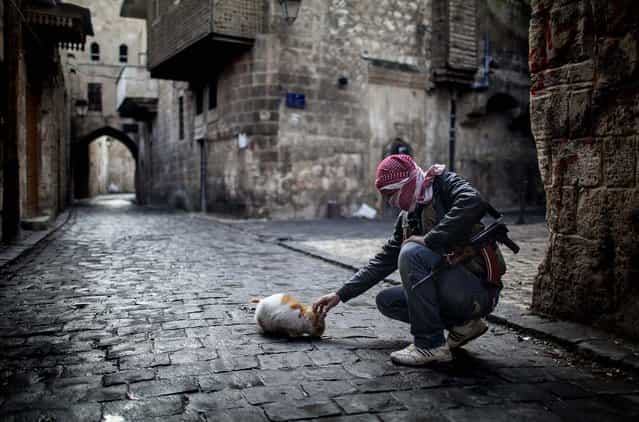 A Free Syrian Army fighter feeds a cat in the old city of Aleppo, January 6, 2013. The revolution against Syrian President Bashar Assad that began in March 2011 started with peaceful protests but morphed into a civil war that has killed more than 60,000 people, according to a recent United Nations recent estimate. (Photo by Andoni Lubaki/Associated Press)