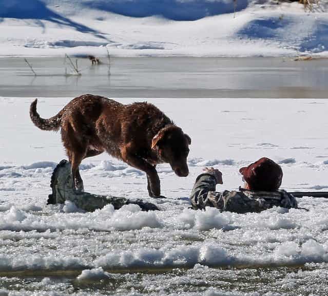 A hunter gestures his dog away as he waits in the Colorado River to be rescued in Mesa County, Colorado, January 15, 2013. The man fell in while retrieving a goose he shot. Grand Junction Fire Department and Lower Valley Fire Department responded to the scene to rescue the man, who reportedly had been in the water for nearly 30 minutes. (Photo by Dean Humphreyo/The Grand Junction Daily Sentinel)