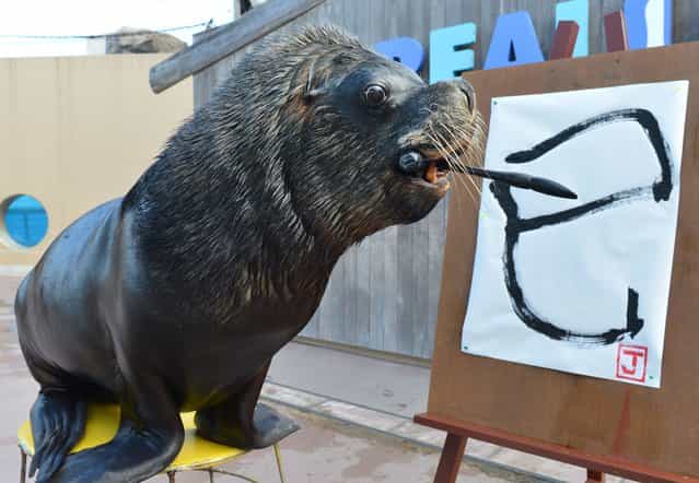 Sea lion [Jay] paints a Chinese character reading [the Serpent] at the Hakkeijima Sea Paradise aquarium in Yokohama, suburban Tokyo on January 3, 2013. The event, marking the forthcoming Chinese lunar calender year of the snake was held as part of a New Year's attraction. (Photo by Kazuhiro Nogi/AFP Photo)
