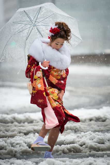 A Japanese woman in kimono attends a ceremony celebrating Coming of Age Day in heavy snowfall at Toshimaen amusement park in Tokyo January 14, 2013. Youths across Japan are honoured with special coming-of-age ceremonies when they reach the age of 20. Tokyo saw its first snowfall this season on Monday. Transportation has been affected by the weather with some flights to and from the capital's Haneda airport being cancelled, parts of the expressways have temporarily closed and local train services have been delayed. (Photo by Balbo42) A Japanese woman in kimono attends a ceremony celebrating Coming of Age Day in heavy snowfall at Toshimaen amusement park in Tokyo January 14, 2013. Youths across Japan are honoured with special coming-of-age ceremonies when they reach the age of 20. Tokyo saw its first snowfall this season on Monday. Transportation has been affected by the weather with some flights to and from the capital's Haneda airport being cancelled, parts of the expressways have temporarily closed and local train services have been delayed. (Photo by Balbo42)