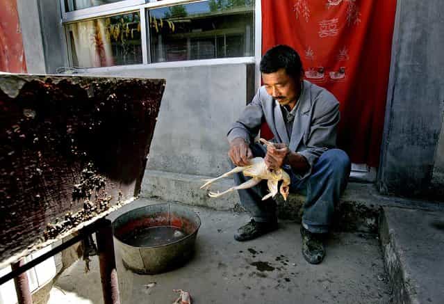 Lunch is prepared at a small bed and breakfast, from which a 1-2 hour hike up a mountain allows infrequent visitors to reach the [wild wall] – an unrestored, not easily accessible portion of the The Great Wall about a 2-hour drive from Beijing. (Photo by Mark Edelson/The Palm Beach Post)