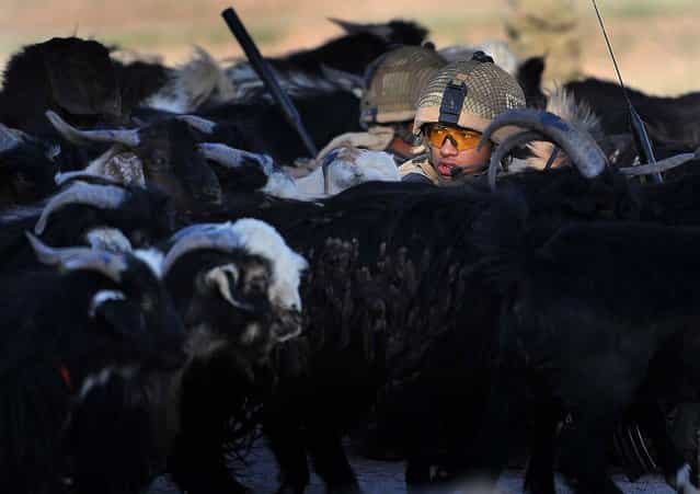 Soldiers from 1st Battalion the Royal Gurkha Rifles patrol through a village in Nahr e Saraj, Helmand. (Photo by Bay Ismoyo/AFP Photo)