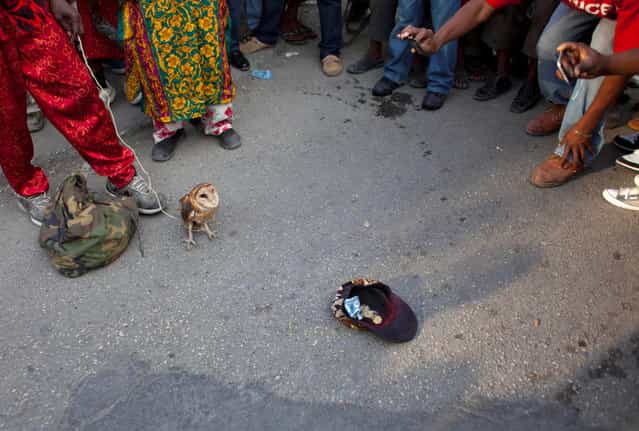 In this January 27, 2013 photo, snake handler Saintilus Resilus' cap lays on the ground for collecting money as he shows off an owl he caught in the wild days before, as his sack of snakes lays at his feet during pre-Lenten Carnival season in Petionville, Haiti. This year, Resilus has new catches to display: an owl that he promises to let go after Carnival. (Photo by Dieu Nalio Chery/AP Photo/Matt Dayhoff)