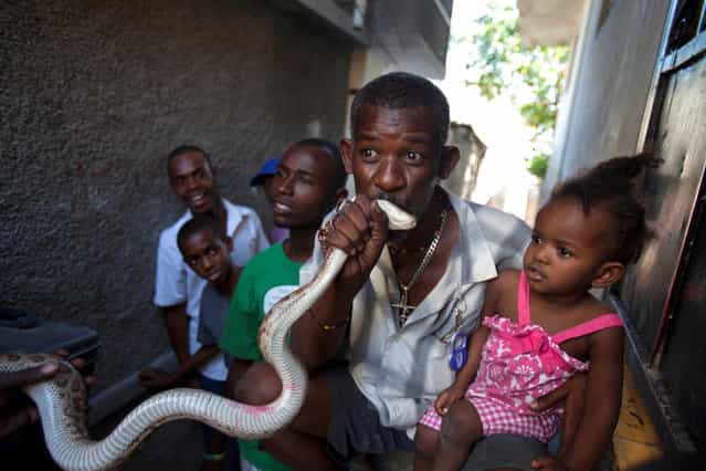 In this January 27, 2013 photo, a man kisses a snake for good luck after paying snake handler Saintilus Resilus performing in the street during the pre-Lenten Carnival season in Petionville, Haiti. It's the serpents that help Resilus eat and pay rent, in addition to his work for a neighborhood herbologist. And it's the snakes for which he's most famous. (Photo by Dieu Nalio Chery/AP Photo/Matt Dayhoff)