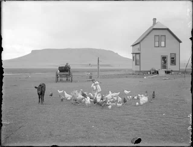 [Hancock homestead, July 23, 1910. Settler from Benson, Minn. Sun River project, Montana]. (Photo by Walter Lubken)