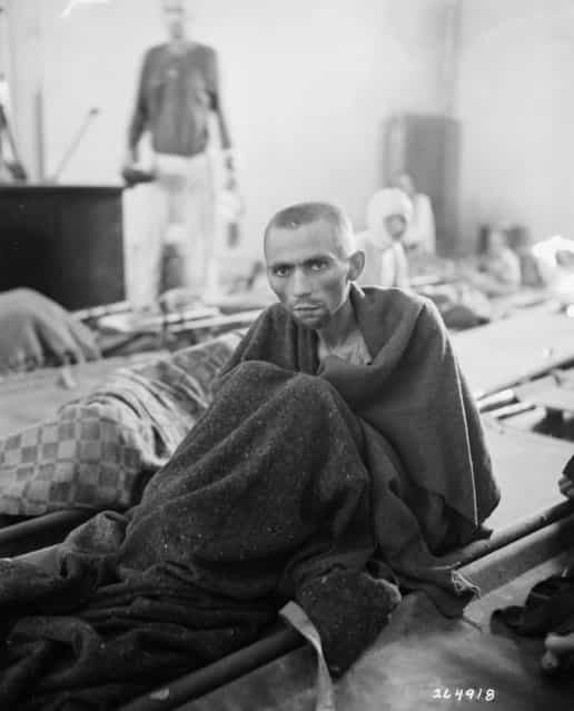[Starving inmate of Camp Gusen, Austria". May 12, 1945. (Photo by Sam Gilbert)