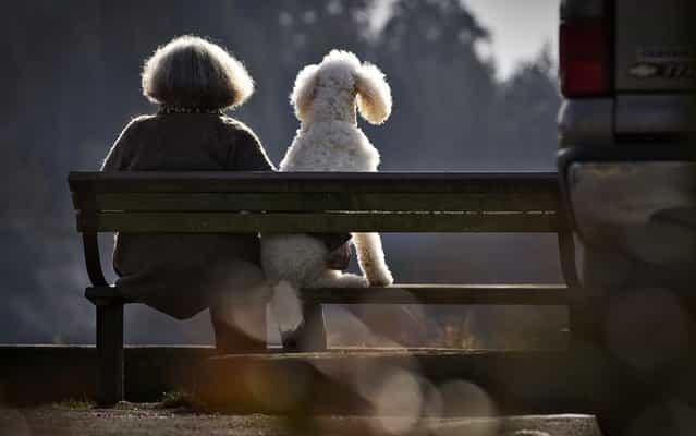 A woman sits on a park bench with her dog along the waterfront beach of Ambleside Park in West Vancouver, British Columbia February 13, 2013. (Photo by Andy Clark/Reuters)