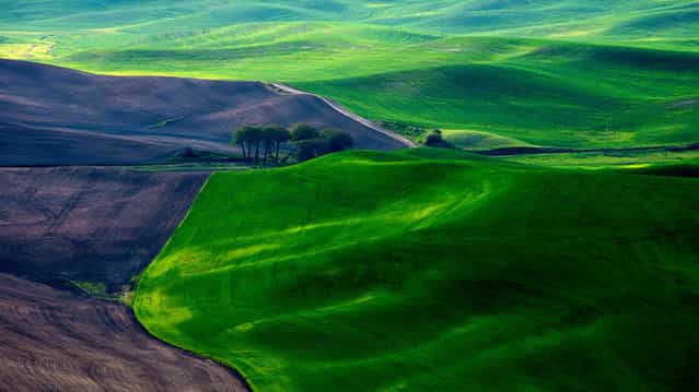 [The Palouse]. (Photo and comment by Dave Morrow)