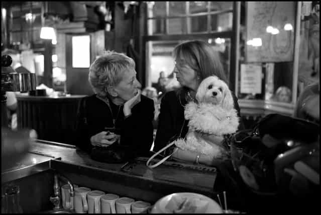 A dog feeling a little left out of the conversation. La Brasserie de l'Ile St. Louis, Paris. (Photo and comment by Peter Turnley)