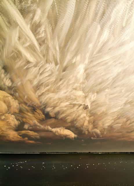 [Cloud Chaos Cropped]. (Matt Molloy)
