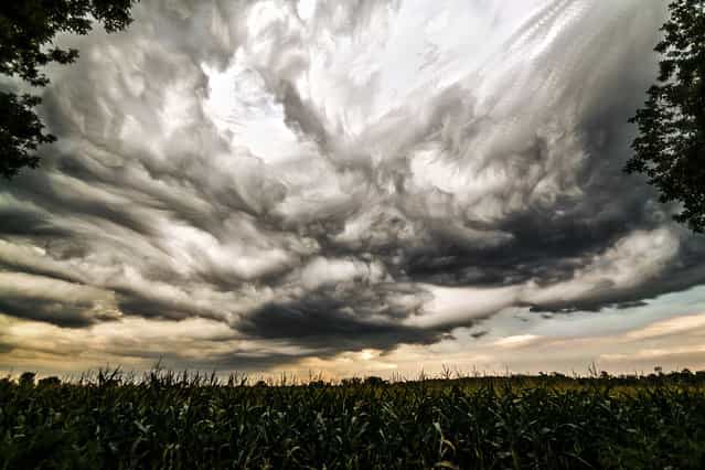 [Twisted Sky]. (Photo by Matt Molloy)