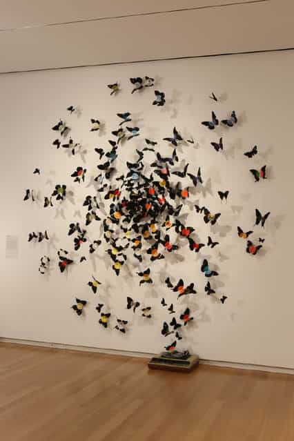 Paul Villinskis By Butterflies Art