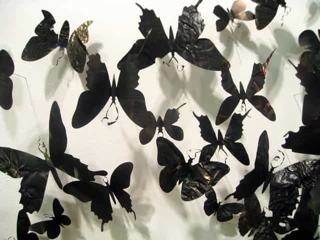 Paul Villinskis By Butterflies Art