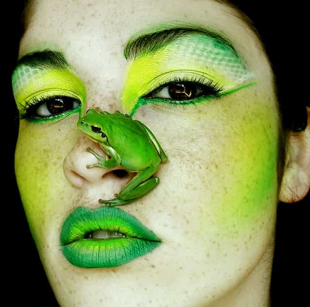 [Like a Frog]. (Sara Morrison)
