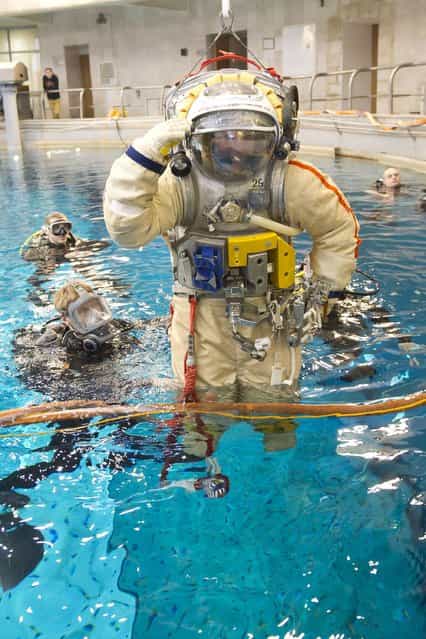 Russian cosmonaut Alexander Samoukutyaev prepares to immerse in a swimming pool in a spacesuit as part of a training session at the Russian cosmonaut training facility in Star City outside Moscow February 13, 2013. Samoukutyaev, together with U.S. astronaut Barry Wilmore and Russian cosmonaut Elena Serova, is preparing for a mission to the International Space Station in October 2014. (Photo by Sergei Remezov/Reuters)