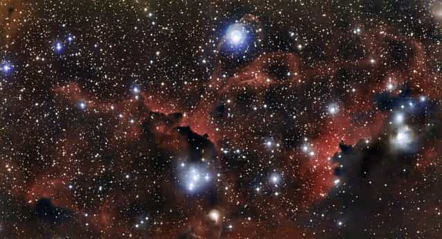 An image from the European Southern Observatory, released February 4, 2013, shows the intricate structure of part of the Seagull Nebula, also known as IC 2177. These wisps of gas and dust form part of the [wings] of the celestial bird. This new view of the region was captured by the Wide Field Imager on the MPG/ESO 2.2-meter telescope at the ESO's La Silla Observatory in Chile. (Photo by ESO via AFP Photo)