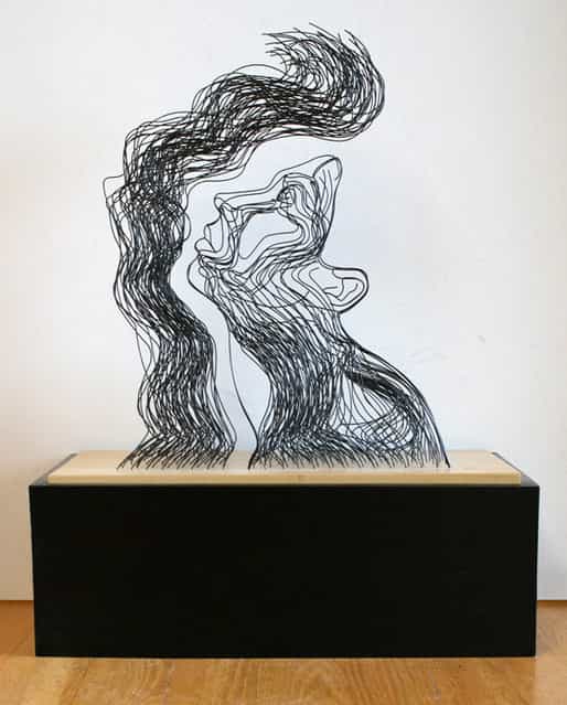 Gavin Worth's Steel Wire Sculptures