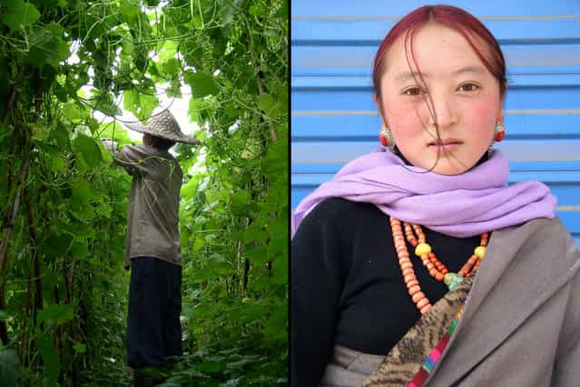Left: Fujian farmer lost in a tangle of squash vines. Right: Hip Tibetan youth, Sichuan. (Photo by Tom Carter/The Atlantic)
