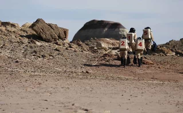 Members of Crew 125 EuroMoonMars B mission venture out in their simulated spacesuits to collect geologic samples for study at the Mars Desert Research Station (MDRS) in the Utah desert March 2, 2013. The MDRS aims to investigate the feasibility of a human exploration of Mars and uses the Utah desert's Mars-like terrain to simulate working conditions on the red planet. Scientists, students and enthusiasts work together developing field tactics and studying the terrain. All outdoor exploration is done wearing simulated spacesuits and carrying air supply packs and crews live together in a small communication base with limited amounts of electricity, food, oxygen and water. Everything needed to survive must be produced, fixed and replaced on site. (Photo by Jim Urquhart/Reuters)