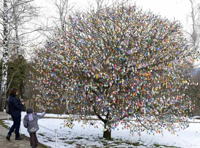 Visitors watch a tree decorated with about 10,000 Easter eggs in the garden of the retired couple Christa and Volker Kraft in Saalfeld, central Germany, Tuesday, March 19, 2013. The Kraft family has been decorating their tree at Easter for more than forty years. (Photo by Jens Meyer/AP Photo)