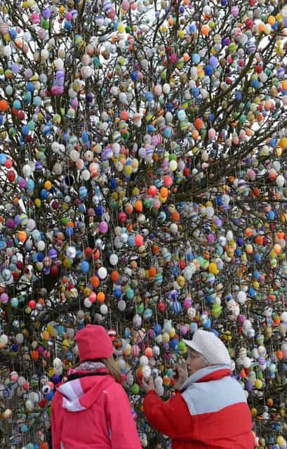 Christa Kraft, right, explains to a young visitor different designs of about 10,000 Easter eggs on a tree in their garden in Saalfeld, central Germany, Tuesday, March 19, 2013. The retired couple Christa and Volker Kraft has been decorating their tree at Easter for more than forty years. (Photo by Jens Meyer/AP Photo)