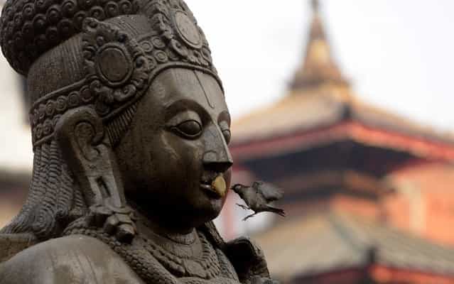 A bird picks food from the statue of the Hindu god Garuda at Basantapur Durbar square in Kathmandu on March 20, 2013. The Durbar Square holds the palaces of the Malla and Shah kings who ruled over the city, is located in the centre of the capital and is listed as a UNESCO world heritage site. (Photo by Prakash Mathema/AFP Photo)