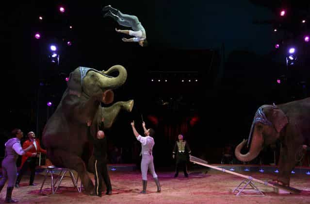 Acrobats perform with elephants during a rehearsal for the new show of Swiss National-Circus Knie in the town of Rapperswil east of Zurich March 21, 2013. Circus Knie starts its nationawide tour 2013 later today. (Photo by Arnd Wiegmann/Reuters)