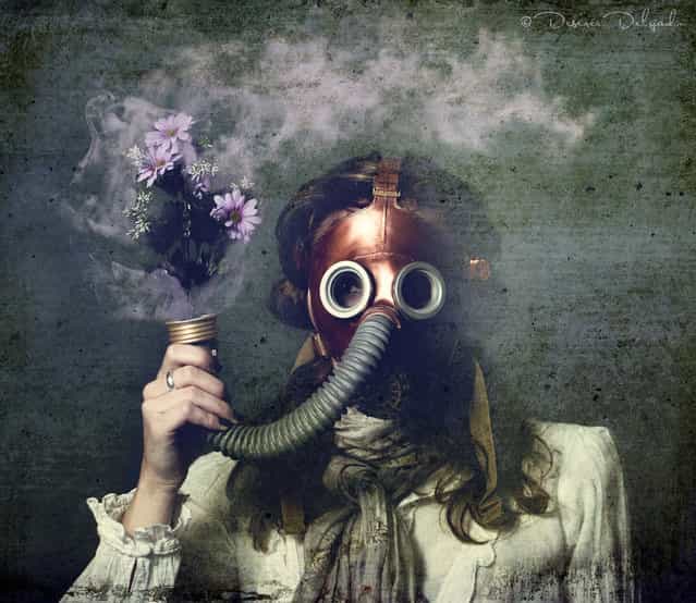 [Oxygen]. (Photo by Desirée Delgado)