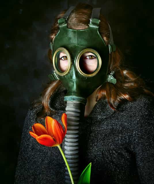 [Hay-fever Cure]. (Photo by Mike McCusker)