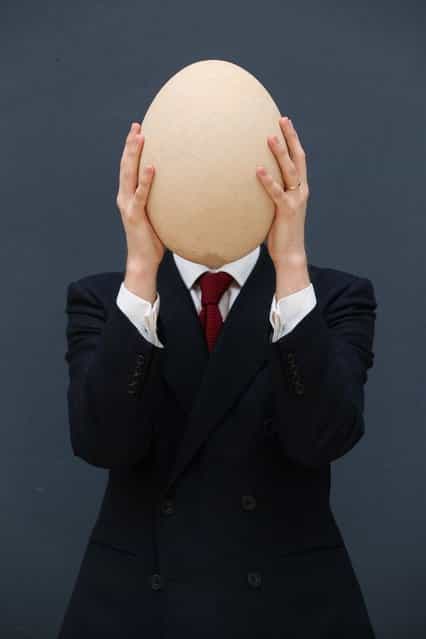 James Hyslop, a Scientific Specialist at Christie's auction house holds a complete sub-fossilised elephant bird egg on March 27, 2013 in London, England. The elephant bird egg is expected to fetch 30,000 GBP when it features in Christie's [Travel, Science and Natural History] sale, which is to be held on April 24, 2013 in London. (Photo by Oli Scarff)