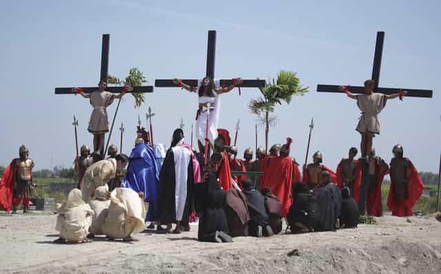 Filipino penitent Ruben Enaje, center, who has portrayed as Jesus Christ for 27 times, is nailed on the cross as he leads others in a reenactment of the crucifixion of Jesus Christ during Good Friday rituals on March 29, 2013 at Cutud, Pampanga province, northern Philippines. Several Filipino devotees had themselves nailed to crosses Friday to remember Jesus Christ's suffering and death, an annual rite rejected by church leaders in this predominantly Roman Catholic country. (Photo by Aaron Favila/AP Photo)