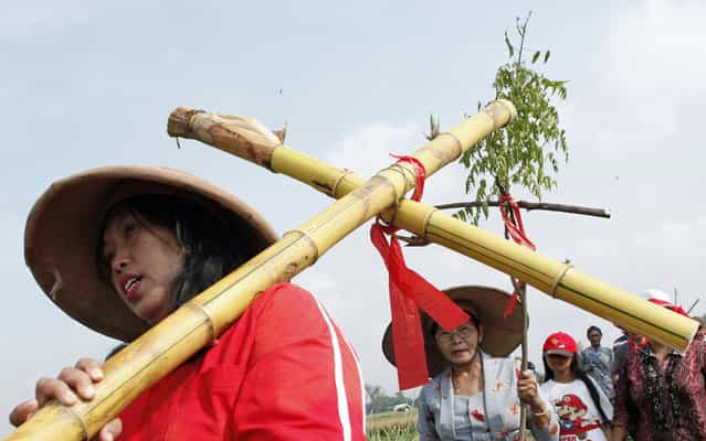 An Indonesian Christian devotees carries a bamboo cross as he walks with others during a Good Friday procession to reenact Jesus path to crucification in Klaten, Central Java, Indonesia, Friday, March 29, 2013. Christians all over the worls are marking Good Friday, the day when Christ was crucified. (Photo by A.K. Hendratmo/AP Photo)