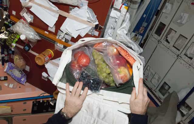 The hands of Expedition 34 Commander Kevin Ford, opening a bag revealing a highly welcomed shipment of fruit which was sent up from Earth a couple of days earlier and which arrived at the International Space Station on March 3, 2013. It was just a very small portion of all the fresh supplies which arrived aboard the unmanned Space X Dragon spacecraft. (Photo by NASA/The Atlantic)