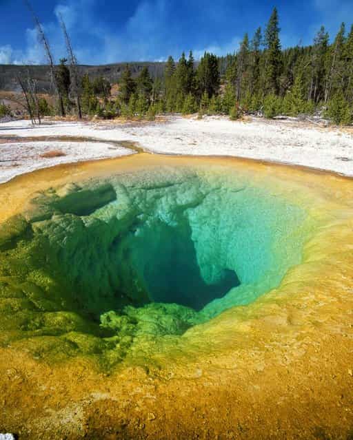 The Beauty Pool of Yellowstone National Park – The hot spring allows luminous algae and bacteria to flourish creating a vivid array of colors. (Photo by Francois Gohier/Ardea/Caters News)