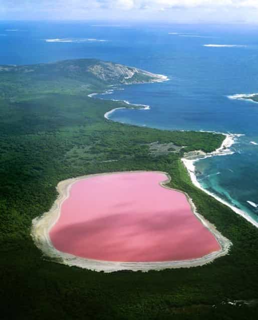The pink Lake Hiller lake in Western Australia – Scientists have proven the strange pink color is due to the presence of algae which is usually the cause of strange coloration. (Photo by Jean Paul Ferrero/Ardea/Caters News)