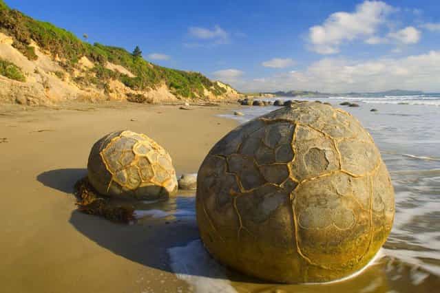 The Moeraki Boulders of New Zealand – The gigantic boulders started forming on the ocean floor and can now been seen sitting mysteriously on the coastline thanks to centuries of erosion. (Photo by Alexandra Sailer/Ardea/Caters News)