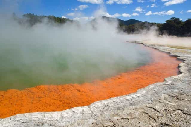 The Champagne Pool – A colorful hot spring in the Waiotapu Geothermal area of New Zealand. The surface temperature of the big spring is 74 degrees celsius and it bubbles are due to uprising carbon dioxide. Minerals contained in the hot water are gold, silver, mercury, sulphur and arsenic. (Photo by Alexandra Sailer/Ardea/Caters News)