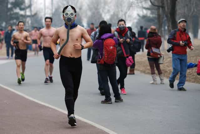 A half-naked participant wears a gas mask as he takes part in the second [Guangzhu (naked) Run] on a winter morning at the Olympic Forest Park in Beijing, on February 24, 2013. About 100 people joined this event, which required them to run wearing only their underwear for 3.5 km (2.2 miles), as a way to promote environmentally-friendly lifestyles. (Photo by Reuters/China Daily /The Atlantic)