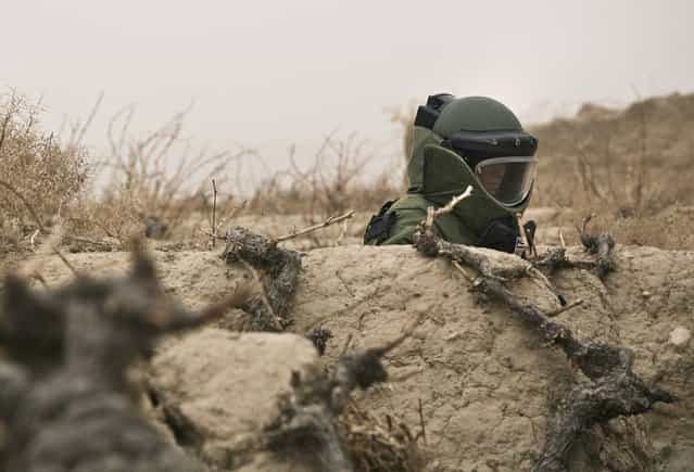 A member of a U.S. Army Explosive Ordinance Disposal (EOD) team patrols a patch of farm land during a mission near Command Outpost AJK (short for Azim-Jan-Kariz, a near-by village) in Maiwand District, Kandahar Province, Afghanistan, on January 30, 2013. (Photo by Andrew Burton/Reuters /The Atlantic)