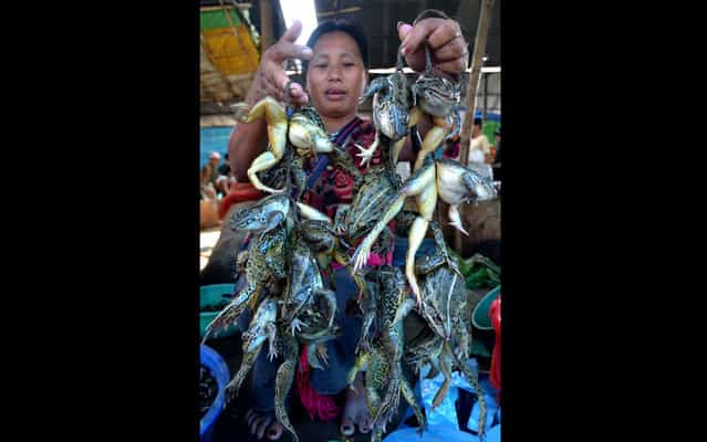 Indian saleswoman shows frogs for sale in market Dimapur, India. (Photo by AFP Photo)