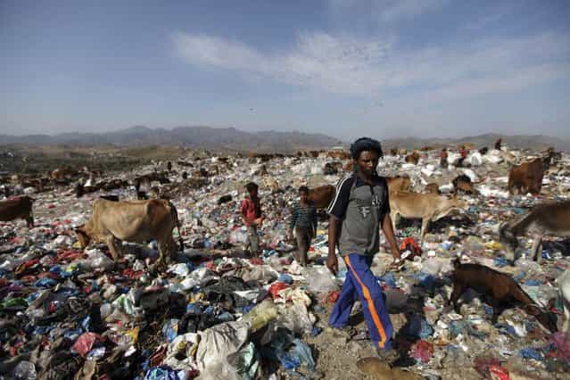 A man walks at a garbage disposal site near the southern Yemeni province of Taiz March 31, 2013. (Photo by Mohamed al-Sayaghi/Reuters)